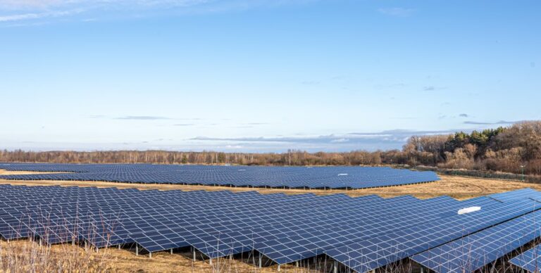 amerikanskuju-svalku-zavalili-tysjachami-solnechnyh-panelej-no-oni-dajut-milliony-kvtch-energii-6e8d8cb