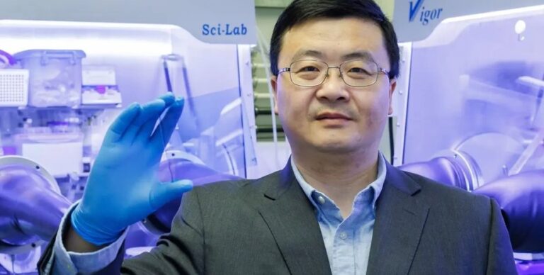 s-solnechnymi-paneljami-mozhno-poproshhatsja-v-kitae-pridumali-tehnologiju-ot-kotoroj-zahvatyvaet-duh-0cd2583