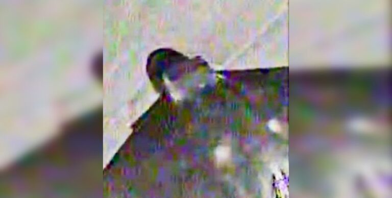 v-ukraine-zametili-rossijskij-shahed-s-zagadochnym-jashhikom-kak-on-vygljadit-a0c83ab