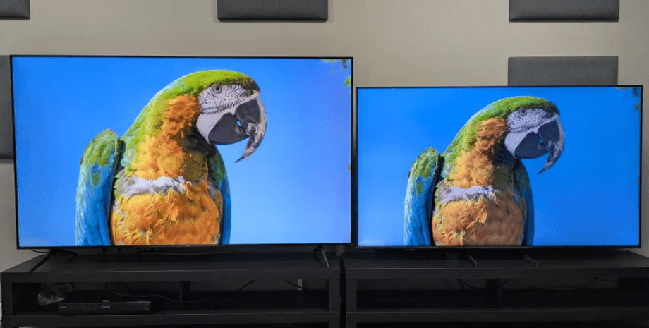 dorogoj-samsung-ili-deshevyj-tcl-ekspert-dal-neozhidannyj-sovet-kakoj-iz-nih-kupit-foto-d477c44