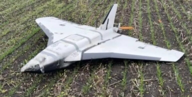 oshibka-kotoraja-mozhet-stoit-zhizni-sergej-flesh-ukazal-na-opasnost-v-rossijskih-gerberah-foto-b902d99