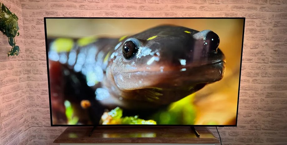 luchshij-bjudzhetnyj-oled-televizor-2026-goda-kakuju-model-sovetujut-eksperty-foto-780b75b.jpg