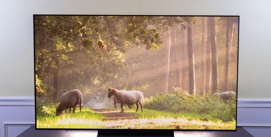 ne-tolko-lg-eksperty-nazvali-top-5-luchshih-oled-televizorov-na-ljuboj-bjudzhet-foto-f3fdd5b.jpg