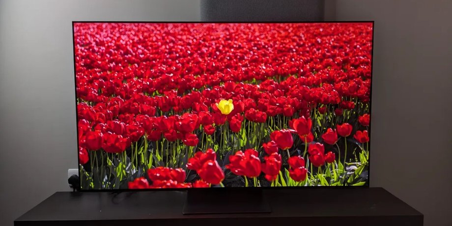 top-5-oled-televizorov-2026-goda-luchshie-modeli-samsung-lg-sony-foto-17371d4.jpg