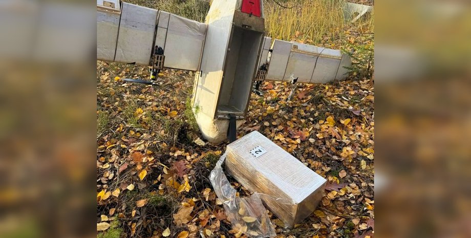 БПЛА с контрабандой на границе Польши